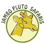 Progetto senza titolo